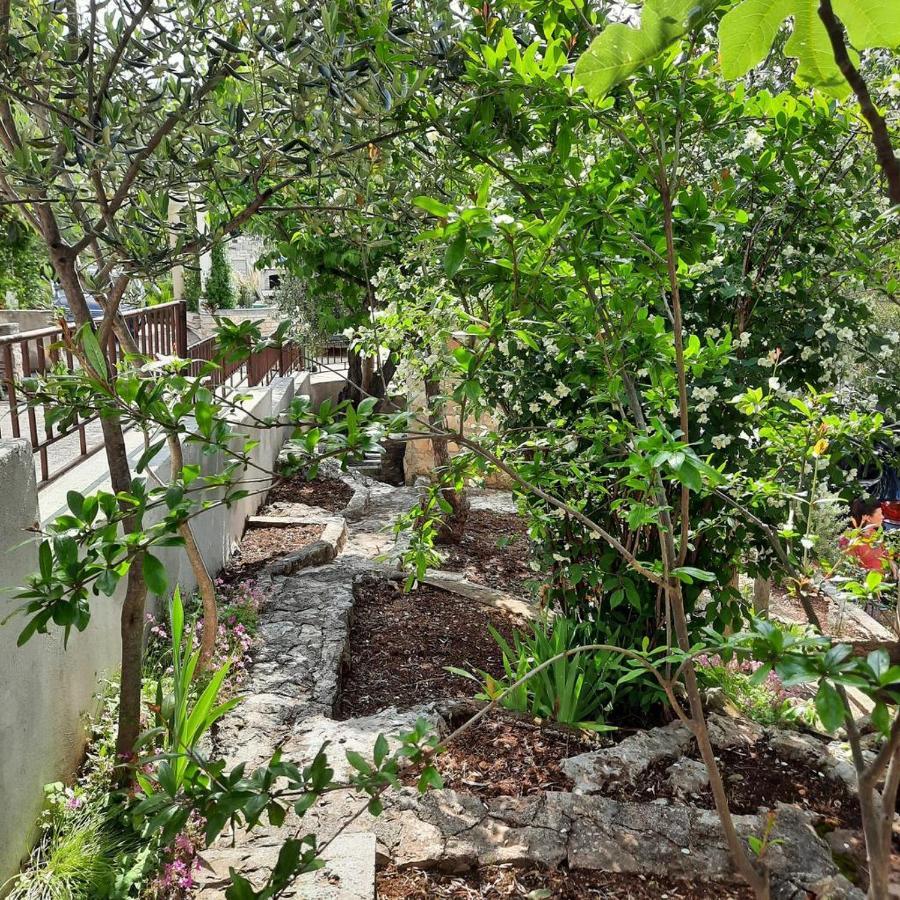 Tara'S Apartman Supetar Exterior photo